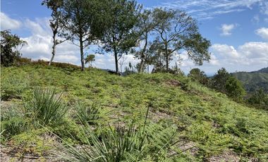 Venta Lote El Retiro