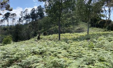 Venta Lote El Retiro