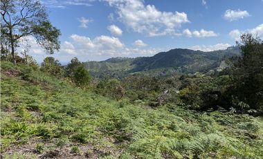 Venta Lote El Retiro