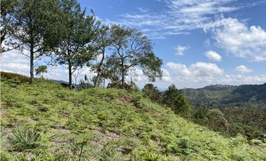 Venta Lote El Retiro