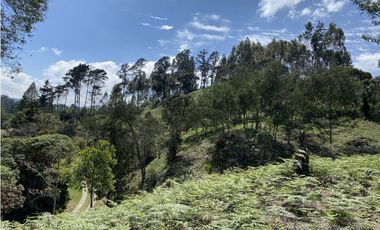 Venta Lote El Retiro