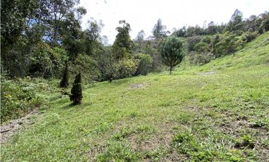 Venta Lote El Retiro