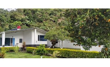 Vendo Casa Campestre En La Vega Cundinamarca