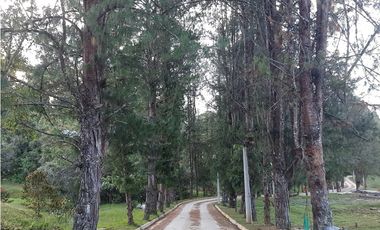 Venta de Lote en Unidad Cerrada Capiro Alto