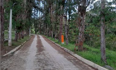 Venta de Lote en Unidad Cerrada Capiro Alto