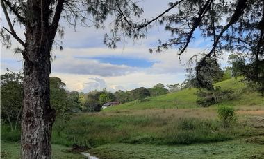 Venta de Lote en Unidad Cerrada Capiro Alto