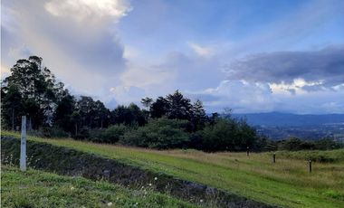 Venta de Lote en Unidad Cerrada Capiro Alto