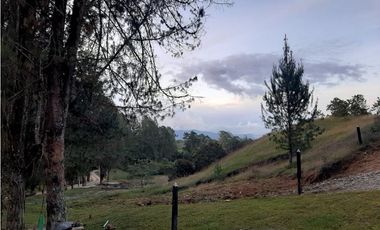 Venta de Lote en Unidad Cerrada Capiro Alto