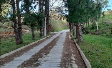 Venta de Lote en Unidad Cerrada Capiro Alto