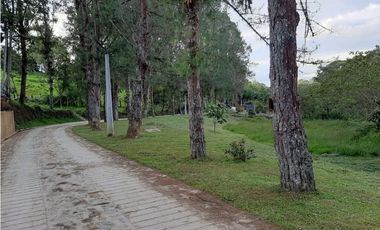 Venta de Lote en Unidad Cerrada Capiro Alto