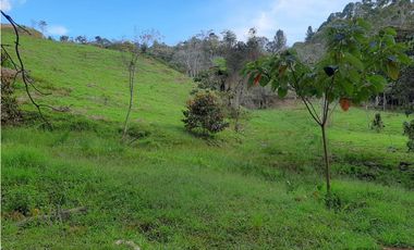 Venta de Lote en Unidad Cerrada Capiro Alto