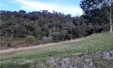 Venta de Lote en Unidad Cerrada Capiro Alto