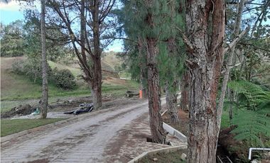 Venta de Lote en Unidad Cerrada Capiro Alto