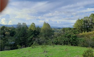 Venta de Lote en Unidad Cerrada Capiro Alto