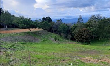 Venta de Lote en Unidad Cerrada Capiro Alto