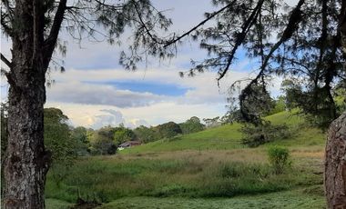 Venta de Lote en Unidad Cerrada Capiro Alto