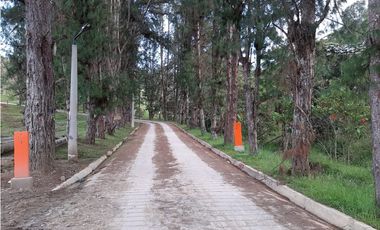 Venta de Lote en Unidad Cerrada Capiro Alto