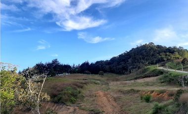 Venta de Lote en Unidad Cerrada Capiro Alto