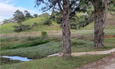 Venta de Lote en Unidad Cerrada Capiro Alto