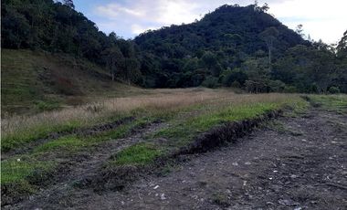 Venta de Lote en Unidad Cerrada Capiro Alto