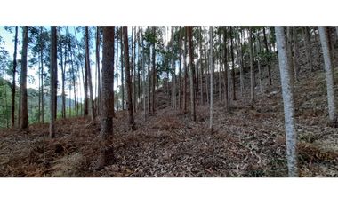 Vendo Finca en Supatá  Cundinamarca