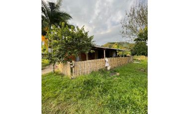 VENDO FK PANELERA Y PISCICOLA 18 CUADRAS EN OBANDO (VALLE)