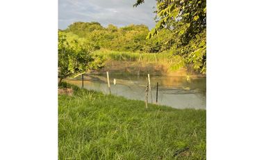 VENDO FK PANELERA Y PISCICOLA 18 CUADRAS EN OBANDO (VALLE)