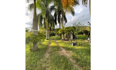 VENDO FK PANELERA Y PISCICOLA 18 CUADRAS EN OBANDO (VALLE)