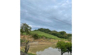 VENDO FK PANELERA Y PISCICOLA 18 CUADRAS EN OBANDO (VALLE)