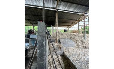 VENDO FK PANELERA Y PISCICOLA 18 CUADRAS EN OBANDO (VALLE)