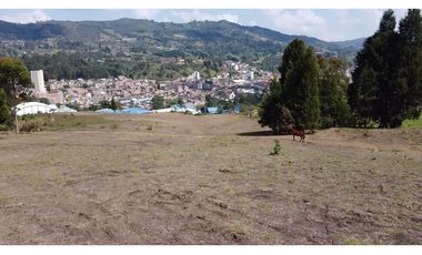 Lote uso mixto 20.200 m² en Guarne