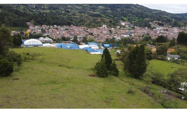 LOTE EN GUARNE DE 24.527 M2