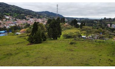 LOTE EN GUARNE DE 24.527 M2