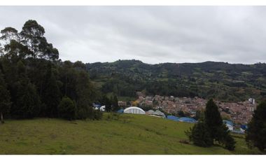 LOTE EN GUARNE DE 24.527 M2