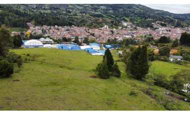 LOTE EN GUARNE DE 24.527 M2