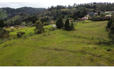 LOTE EN GUARNE DE 24.527 M2
