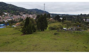 LOTE EN GUARNE DE 24.527 M2