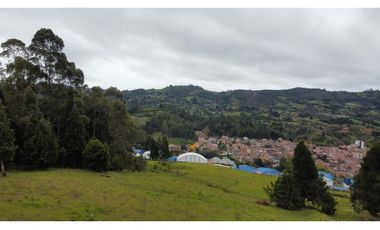LOTE EN GUARNE DE 24.527 M2