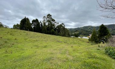 LOTE EN GUARNE DE 24.527 M2