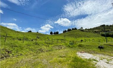 VENTA  DE LOTE CON NORMA PARA VIS EN EL CARMEN DE VIVORAL DE 28.000 M2