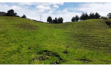 VENTA  DE LOTE CON NORMA PARA VIS EN EL CARMEN DE VIVORAL DE 28.000 M2