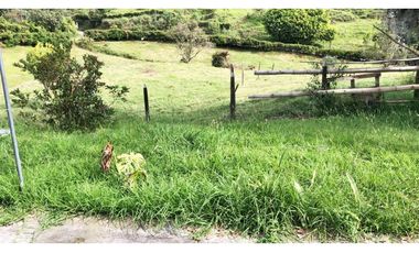 LOTE EN GUARNE DE 30.000 M2