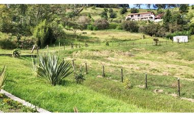 LOTE EN GUARNE DE 30.000 M2