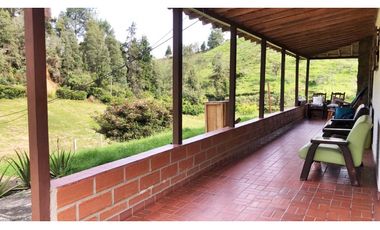 LOTE EN GUARNE DE 30.000 M2