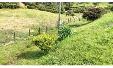 LOTE EN GUARNE DE 30.000 M2