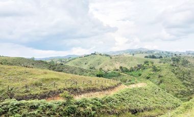 LOTE EN SAN VICENTE FERRER - ANTIOQUIA