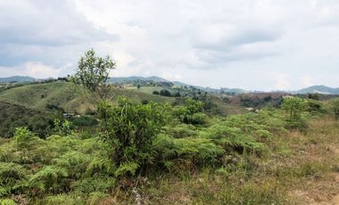 LOTE EN SAN VICENTE FERRER - ANTIOQUIA