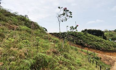 LOTE EN SAN VICENTE FERRER - ANTIOQUIA