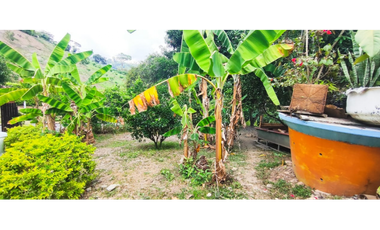 En venta casalote de 500 M2 en 380 mill en La Mesa Cund, COL