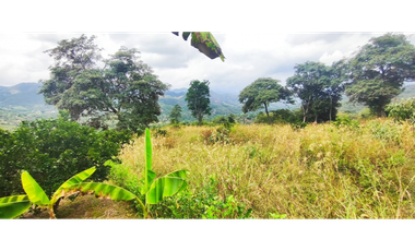 Lotes de 2000 M2 en urbanización, 200 mill en La Mesa Cund, COL.